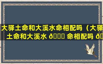 大驿土命和大溪水命相配吗（大驿土命和大溪水 🐋 命相配吗 🐟 好吗）